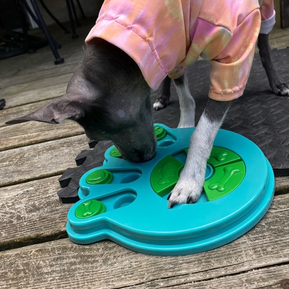 PUZZLE TOY *PAW SHAPE *DOG *CAT *IQ GAME *PUZZLE *HOST PICK *NWT - Picture 15 of 17